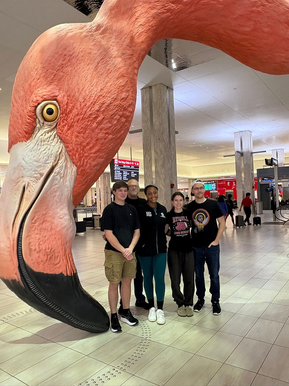 Flamingo photo