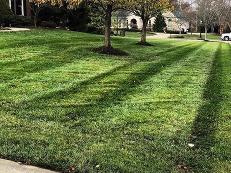 A neatly manicured lawn with symmetrical mowing lines creates a picturesque setting under autumn-hued trees in a suburban neighborhood.