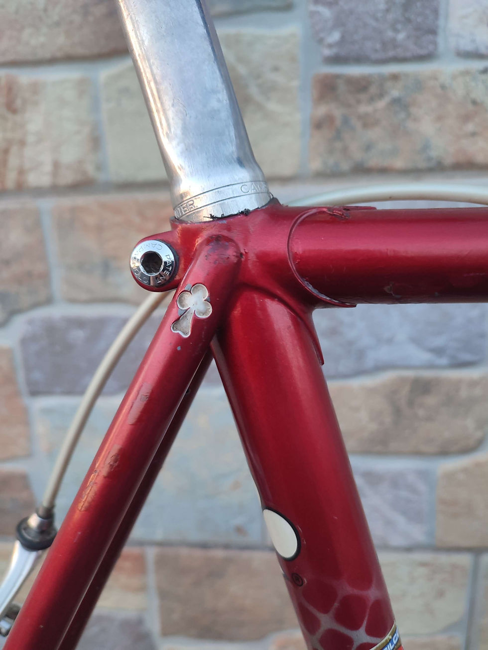 Miniatura: Colnago Master Più del Tongo campagnolo chorus/Athena 