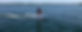 IMG_6929.jpeg