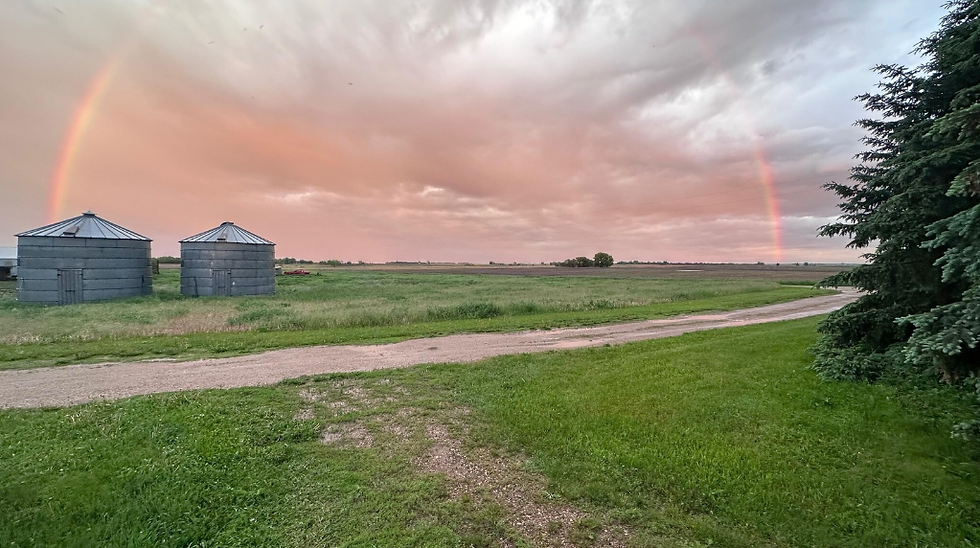 Rainbow on the farm.png
