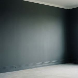 Whole Home Renovation - Phase 1