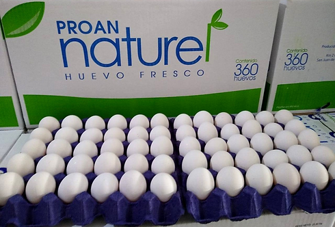 NATUREL.png