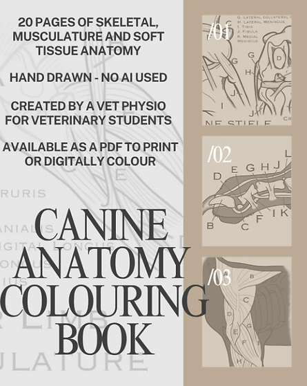 canine.png