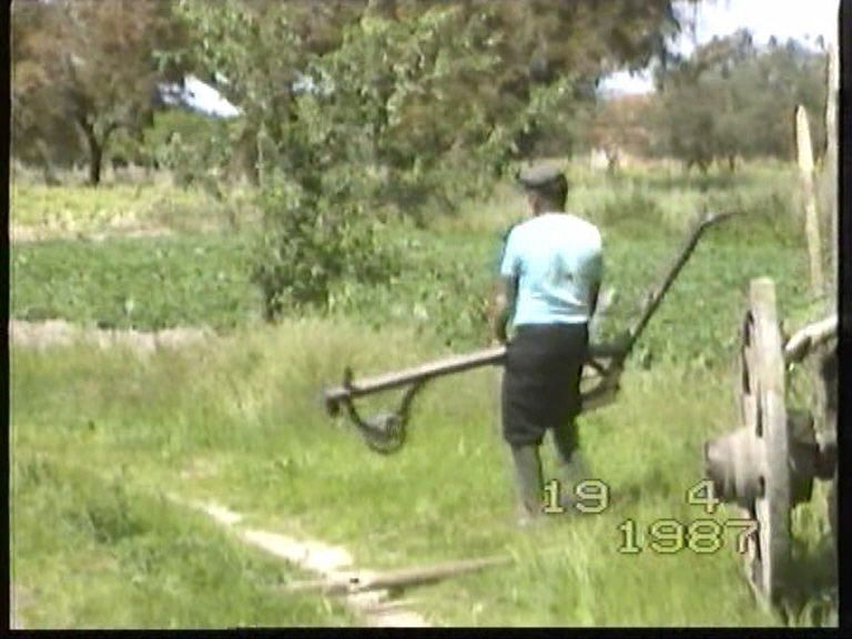CingeleiroZéMguelComCharrua