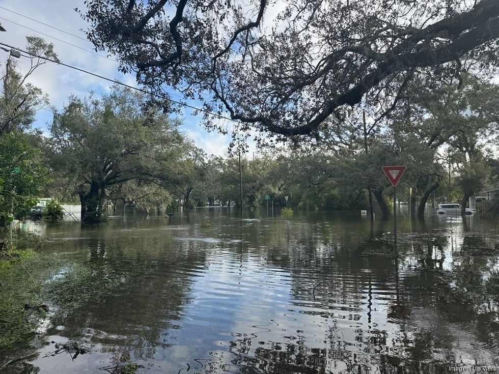 Flooding in North Tampa - Luis Viera