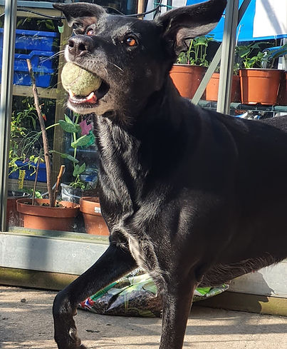 WhatsApp Image 2025-04-13 at 21.22_edite