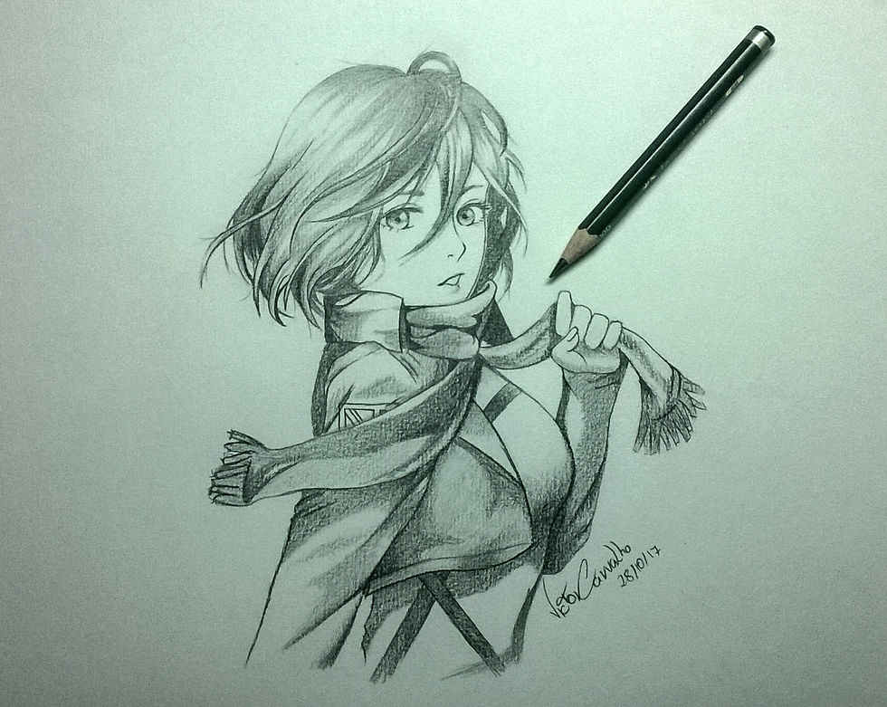 Sketch (Mikasa)