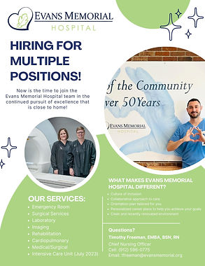 Purple Volunteer Recruitment Flyer (4).jpg