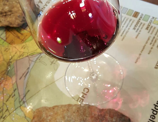 Domaine Jean Fournier