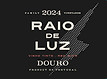 Raio de Luz 2024_edited.jpg