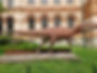 20230508_113526.jpg