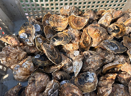 78560716627__4E676B38-6E5A-42EA-8EAD-E70