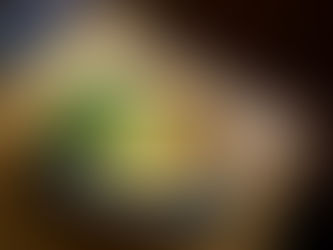 コラム「エシカルなくらし」第42回・エシカルショップ・tiny little hideout SPOONFUL