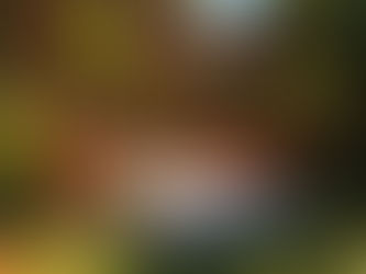 Backyard Upgrades Worth Doing in South Jersey This Year