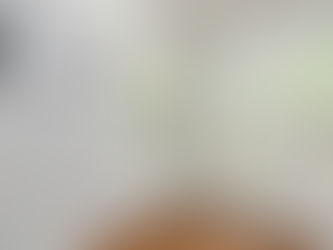 Vinyl vs. Wood Windows: 5 Key Differences Every South Jersey Homeowner Should Know