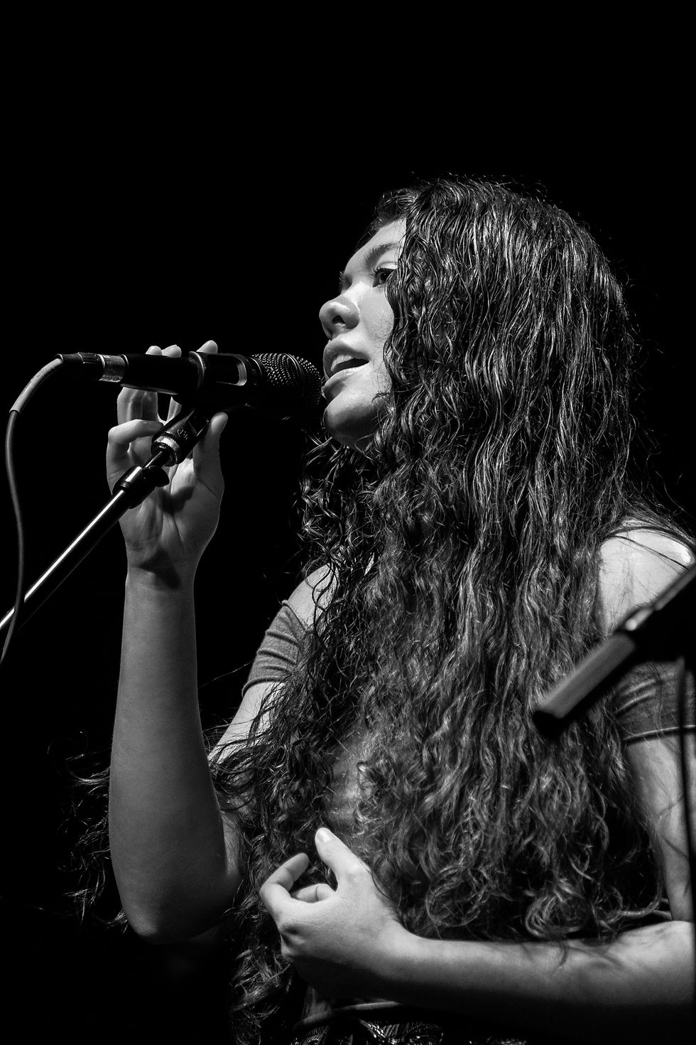 The Revere Voice Fundraiser