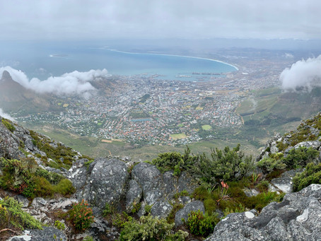 A Dreamy Two Weeks in South Africa
