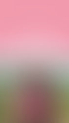 La historia de Roxana: del diagnóstico al equipo