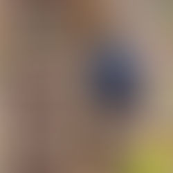 #blubworldrefers - Create a Haven for Sunbirds!