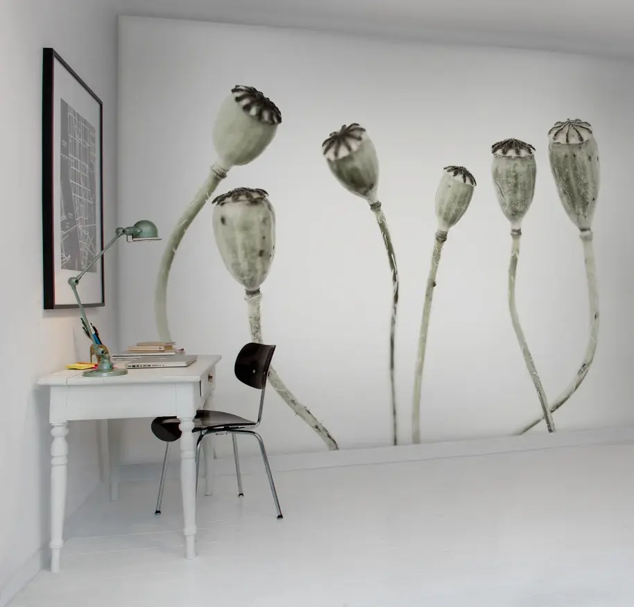 SIMPLE SEEDPOD