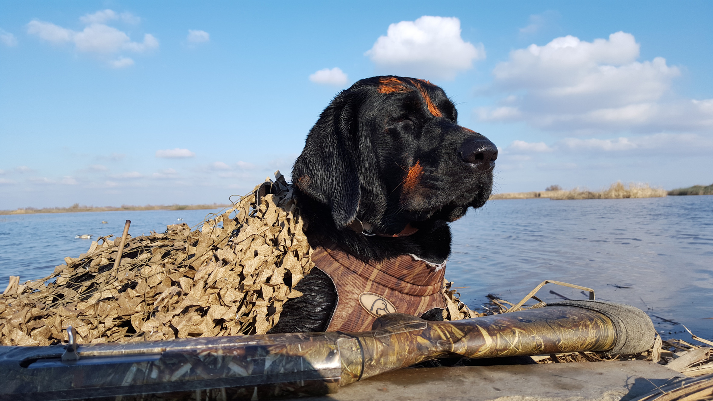 Waterfowl Hunting In California