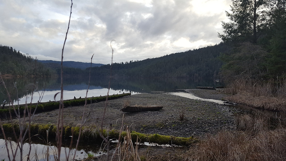 Lewiston Lake near cooper gulch