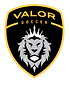 Updated Valor Logo.png