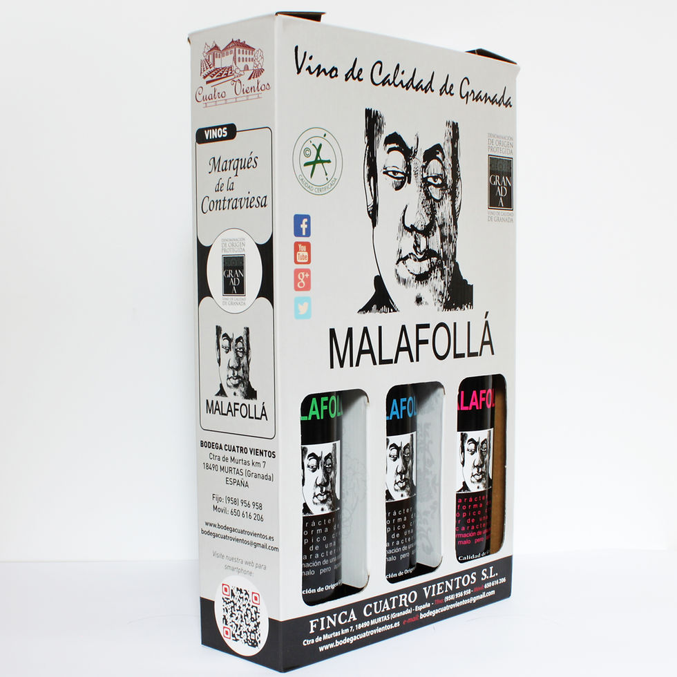 Miniatura: Lote: Selección Malafollá tres botellas