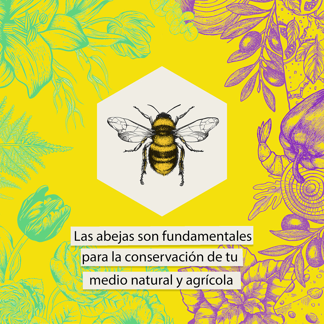 Campaña miel local