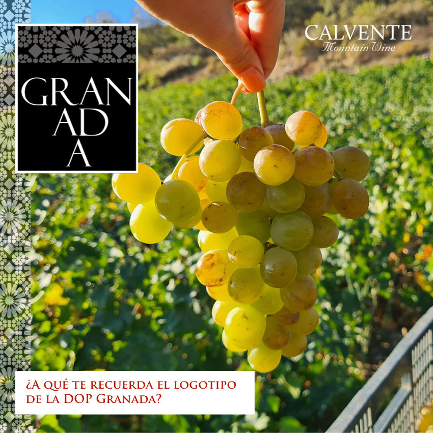 Granada Wine Lovers 001