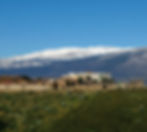 Entre la Sierra y el Mar