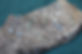MS231001.3.JPG
