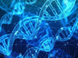 A Cura e o DNA