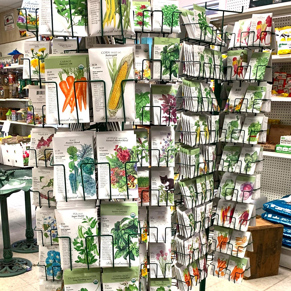 seed packet display at The Good Earth, Gardner, MA.