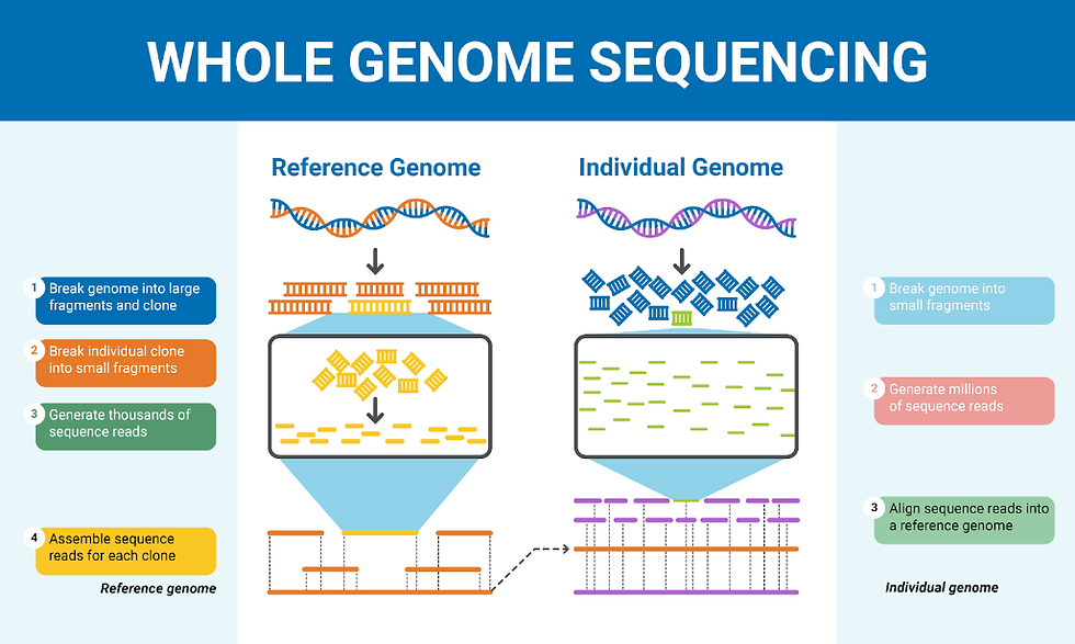 Whole genome sequencing