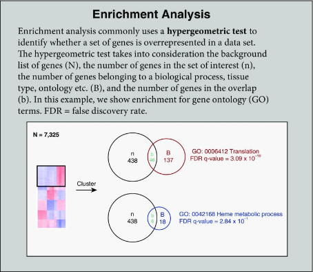 Description of the enrichment analysis process