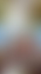 83rd National Folk Festival Joins Smithsonian's Festival of Festivals for the Nation's 250th Anniversary in 2026