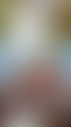 83rd National Folk Festival Joins Smithsonian's Festival of Festivals for the Nation's 250th Anniversary in 2026