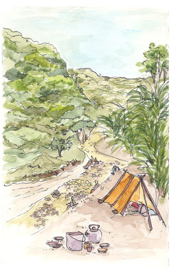 Owl Trail