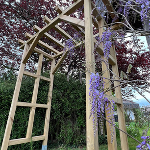 double-arche-bois-glycine.jpeg