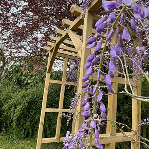 double-arche-bois-glycine.jpeg