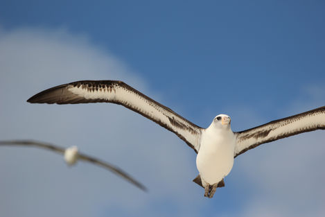 DC128007-896D-40B8-B099-6F0AF87C41A7.jpeg