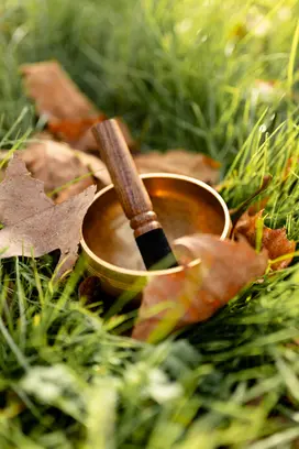 photographe holistique macon