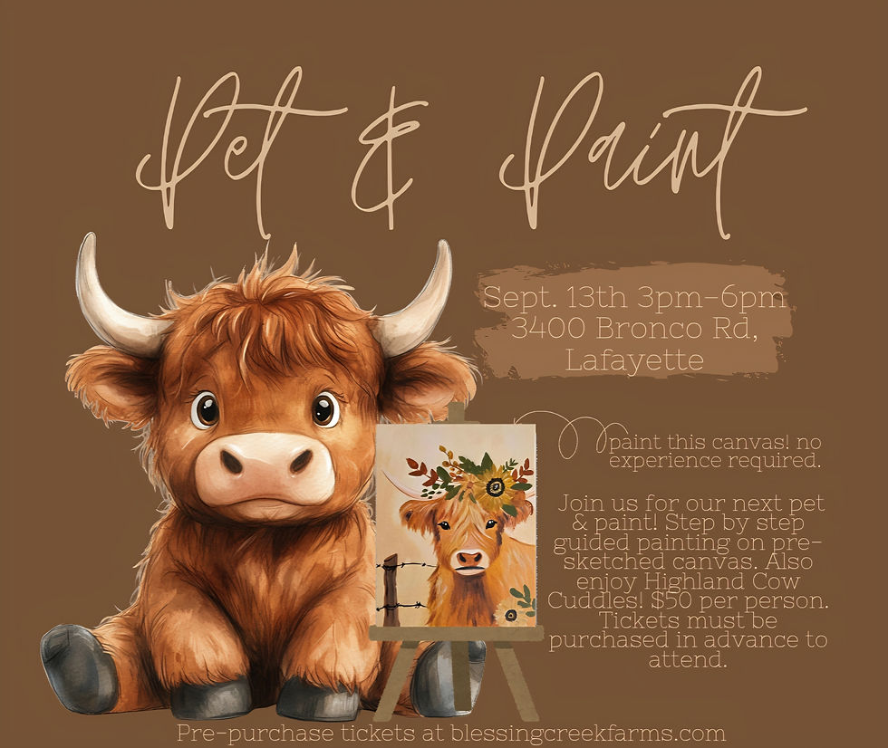 Canvas Pet & Paint