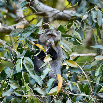 Sani Pass: Africa's Most Dramatic Mountain Road Adventure