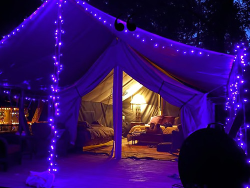 Glamping Tent | Pine Grove | Cobb