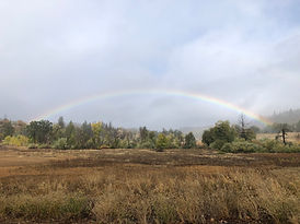 Rainbow in Cobb, California
