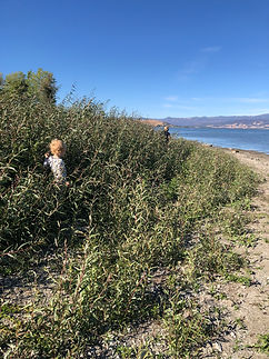 Clearlake, Lake County, California