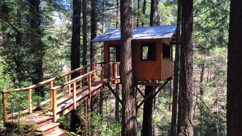 Sanctuary Treehouse
